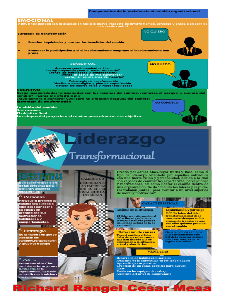 Estrategias para el Cambio Organizacional | PDF | Liderazgo | Aprendizaje