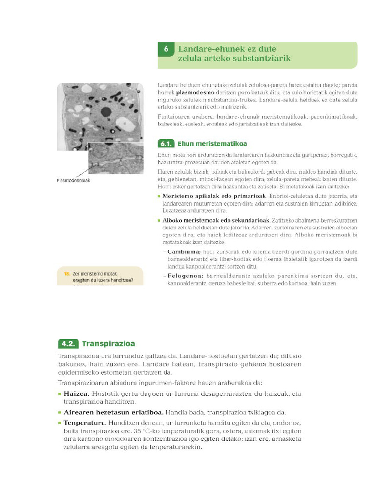 Libro Bio Botanica (Landares) | PDF