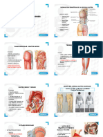 Anatomia 2 USAMEDIC-2x2