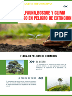 Newsletter Boletín Informativo Naturaleza Ecología y Sostenibilidad Minimalista Blanco y Verde