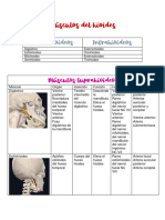 Músculos Suprahioideos e Infrahioideos