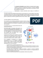 Tema 1 Introducción Fisiología Vegetal