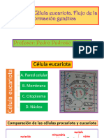 Capítulo 3 - Teoría