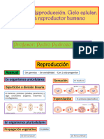 Capítulo 10 - Teoría