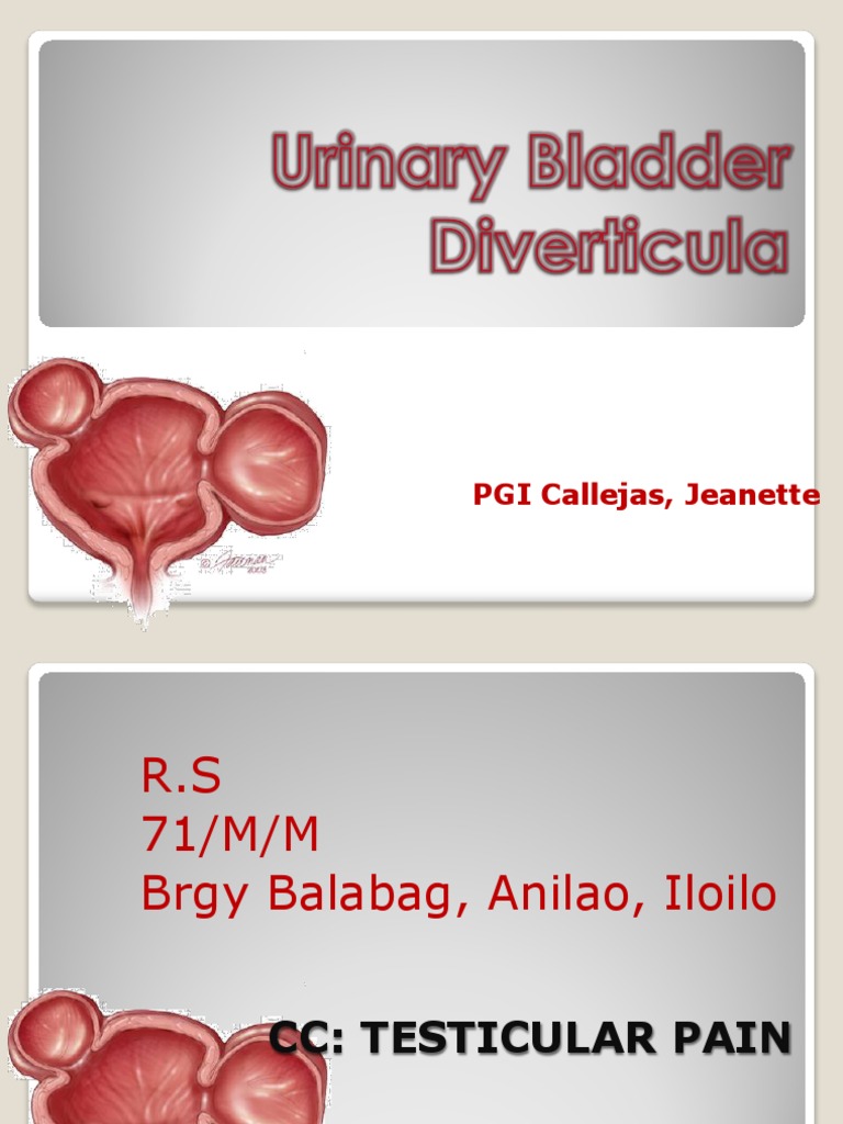 Bladder Diverticula Urinary Tract Infection Urinary Bladder