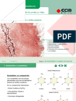 Power Resumen Tema 5