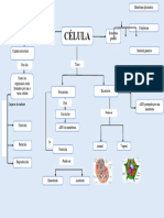 Mapa Conceptual de La Celula 2