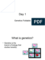Genetics Foldable