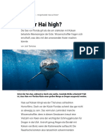 Drogenhandel - Haie Auf Koks - Spektrum Der Wissenschaft