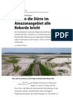 Warum Die Dürre Im Amazonas-Regenwald Derzeit Alle Rekorde Bricht - Spektrum Der Wissenschaft