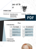 Exposé-De-La-Langue-Et-Plancher-Buccal-2 2