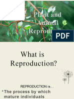Animal and Plants Reproduction