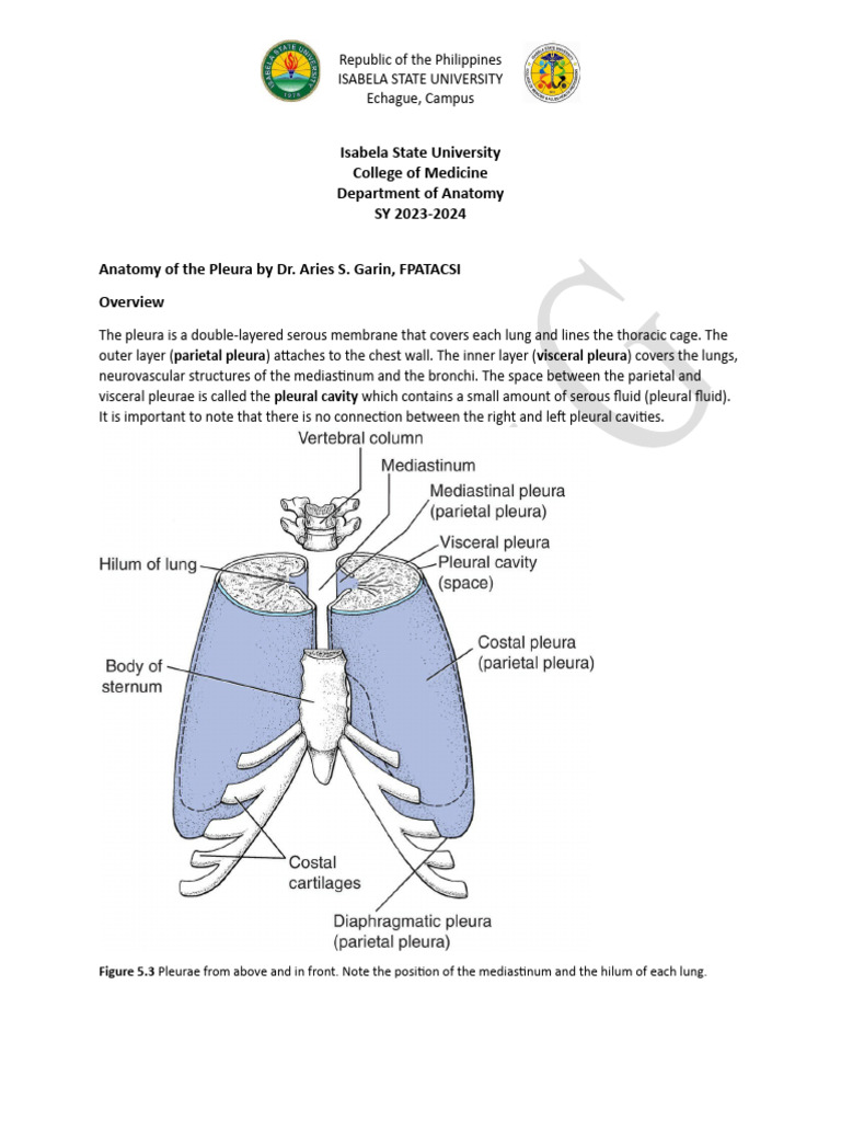 Pleura Pdf Lung Thorax Human Anatomy