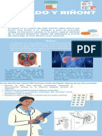 Infografia Del Higado y Riñon