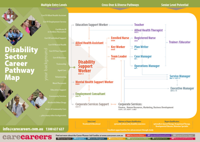 Disability Sector Career Pathways Guide | PDF | Nursing | Employment