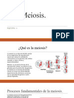 Meiosis