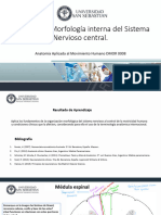 Laboratorio Morfología Del Sistema Nervioso Central DMOR 0008 2021 - 2
