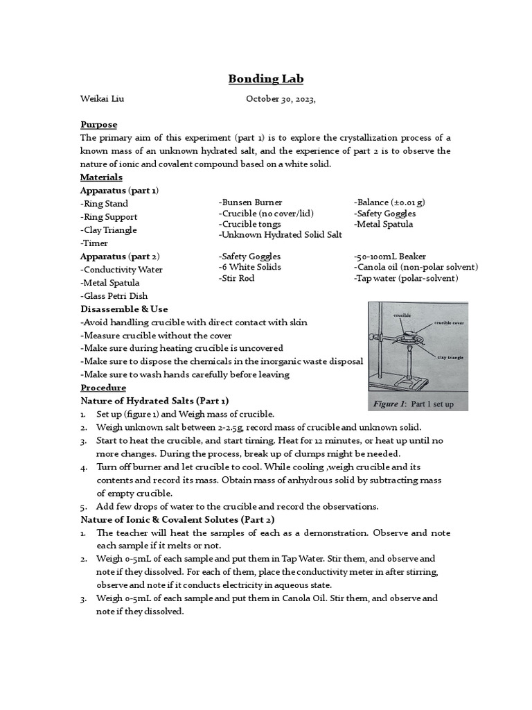 Hydrated Salt Crystallization Experiment | PDF | Salt (Chemistry ...