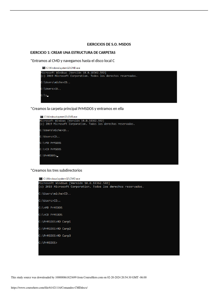 Ejercicios Prácticos de CMD en MSDOS | PDF | Archivo de computadora ...