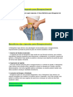 Desvendando o Segredo para Emagrecimento PDF