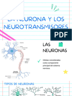 La Neurona y Los Neurotransmisores - Grupo 5
