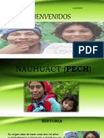 TAREA NAUHUACT (PECH) (1)