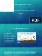 Ciclo Biogeoquimico Oxigeno