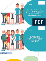 Modulo 2 Planes de Acompañamiento Familiar