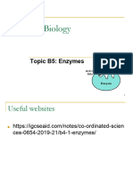 IGCSE Biology: Topic B5: Enzymes