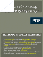 Sistem Reproduksi