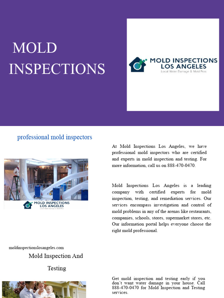 Comprehensive Mold Inspection Services For A Healthy Home Environment ...