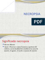 Necropsia Importancia