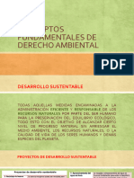 Conceptos Fundamentales de Derecho Ambiental