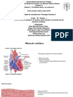 Fisiologia Cardiovascular