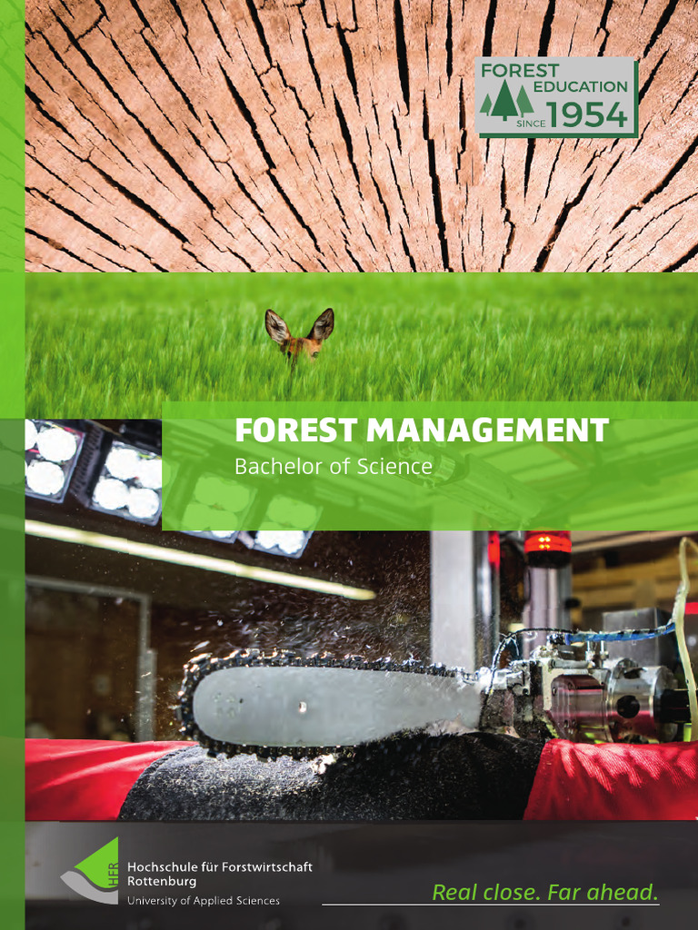 BSc FOREST MANAGEMENT ROTTENBURG UNIVERSITY GERMANY PDF Forestry 