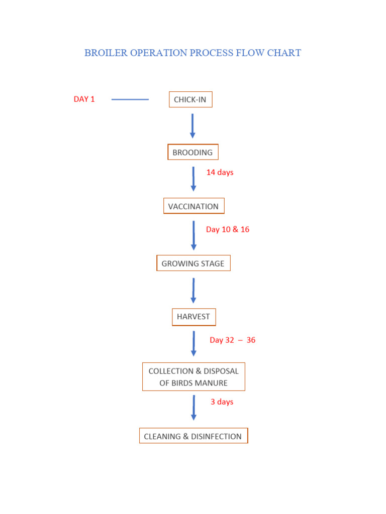 Operation Process Flow Chart | PDF