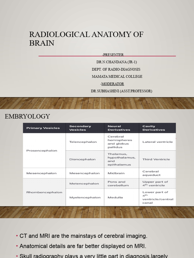 Presentation 1 | PDF | Corpus Callosum | Cerebral Cortex