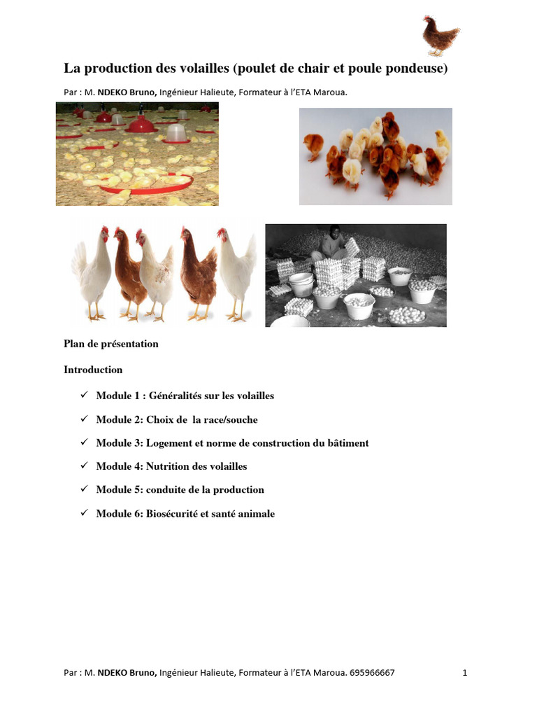 Production et élevage des volailles | PDF | Poulet | Aviculture