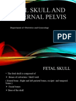 Fetal Skull and Maternal Pelvis