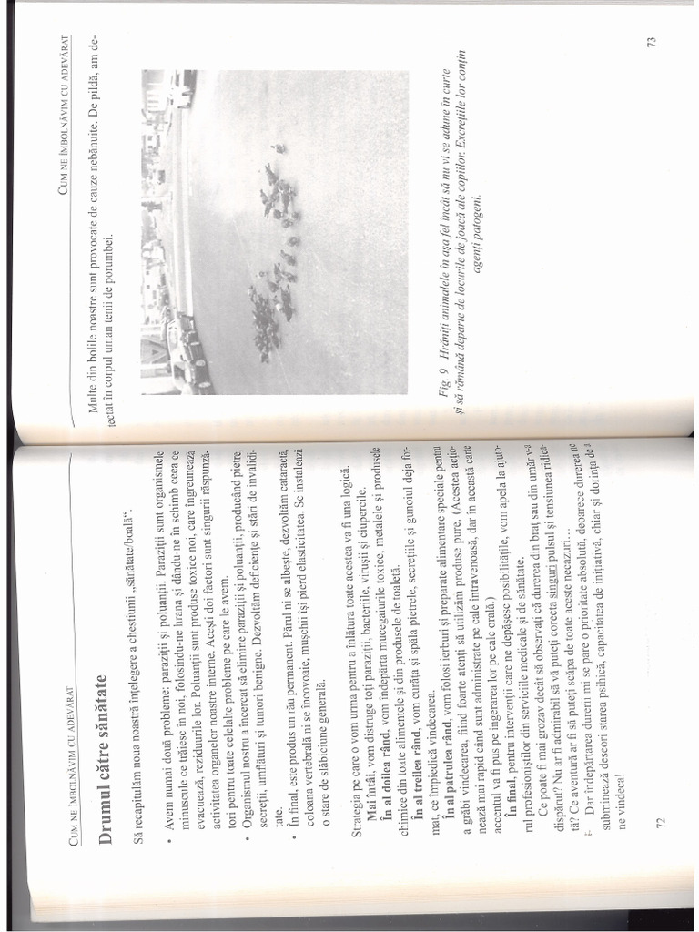 31 | PDF