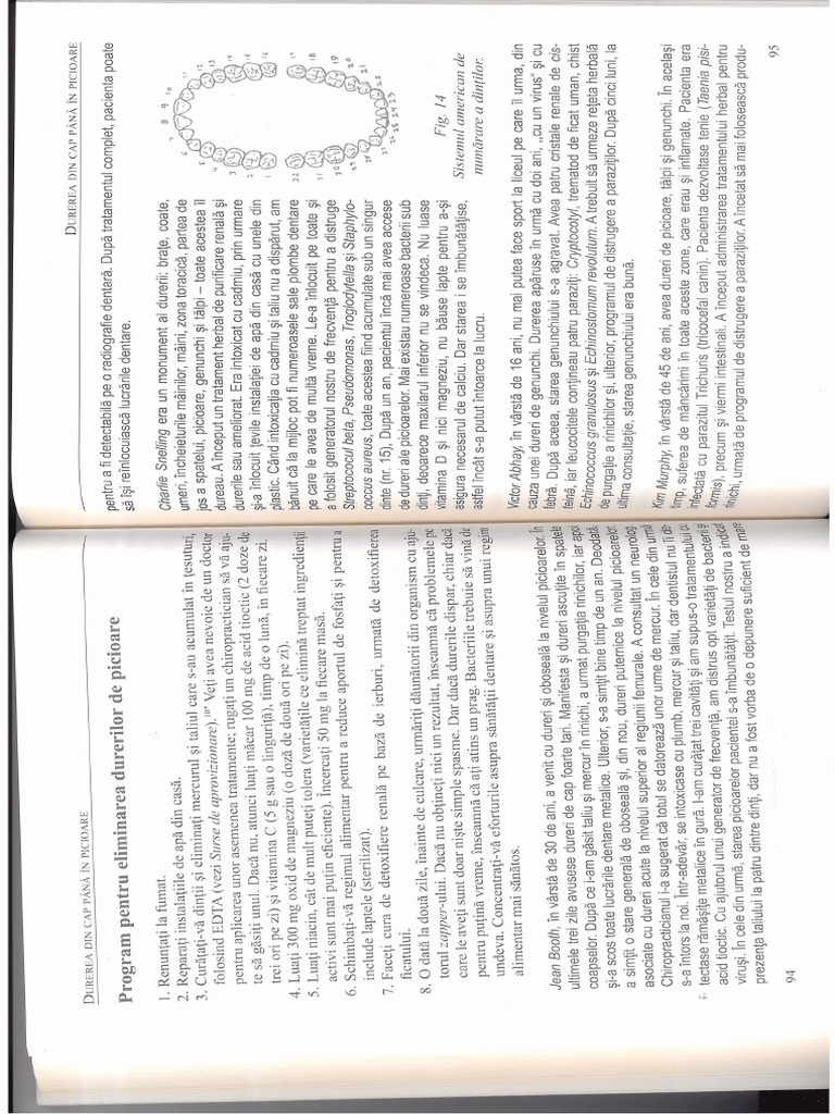 42 | PDF