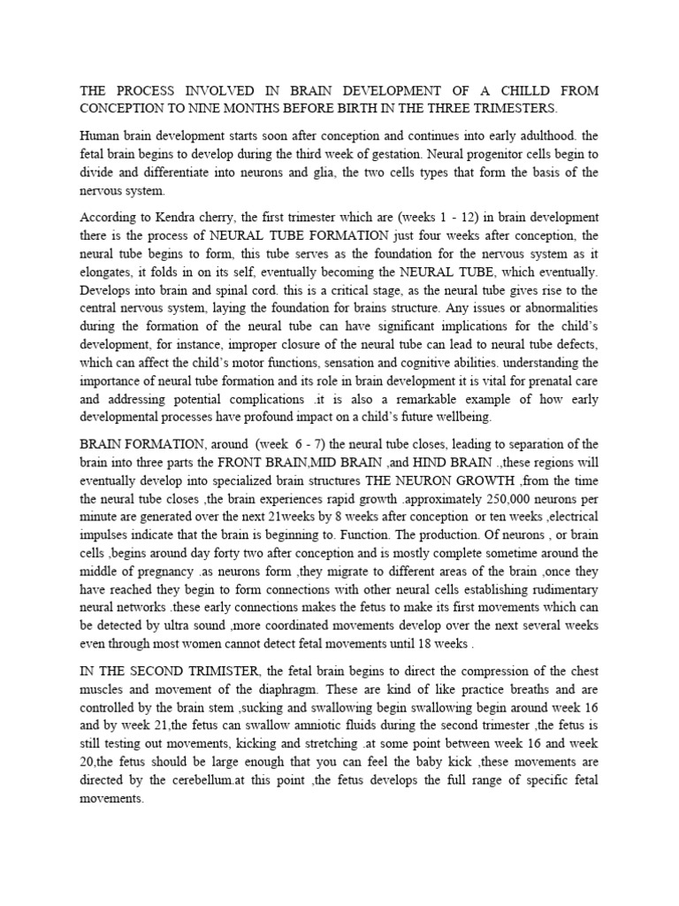 Mai mkanda 123 download free pdf brain nervous system