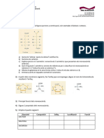 Activitats Glúcids 2n BTX - 2014