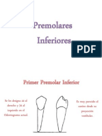 premolares inferiores