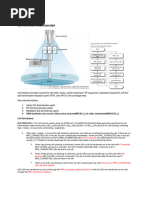 5G Hedex Ike Cell Management - MTNSA