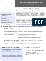 Hoja de Vida en PDF - Ejemplo