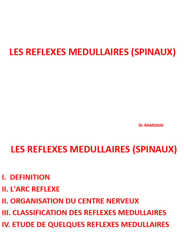 Comprendre les réflexes médullaires | PDF | Muscle squelettique ...