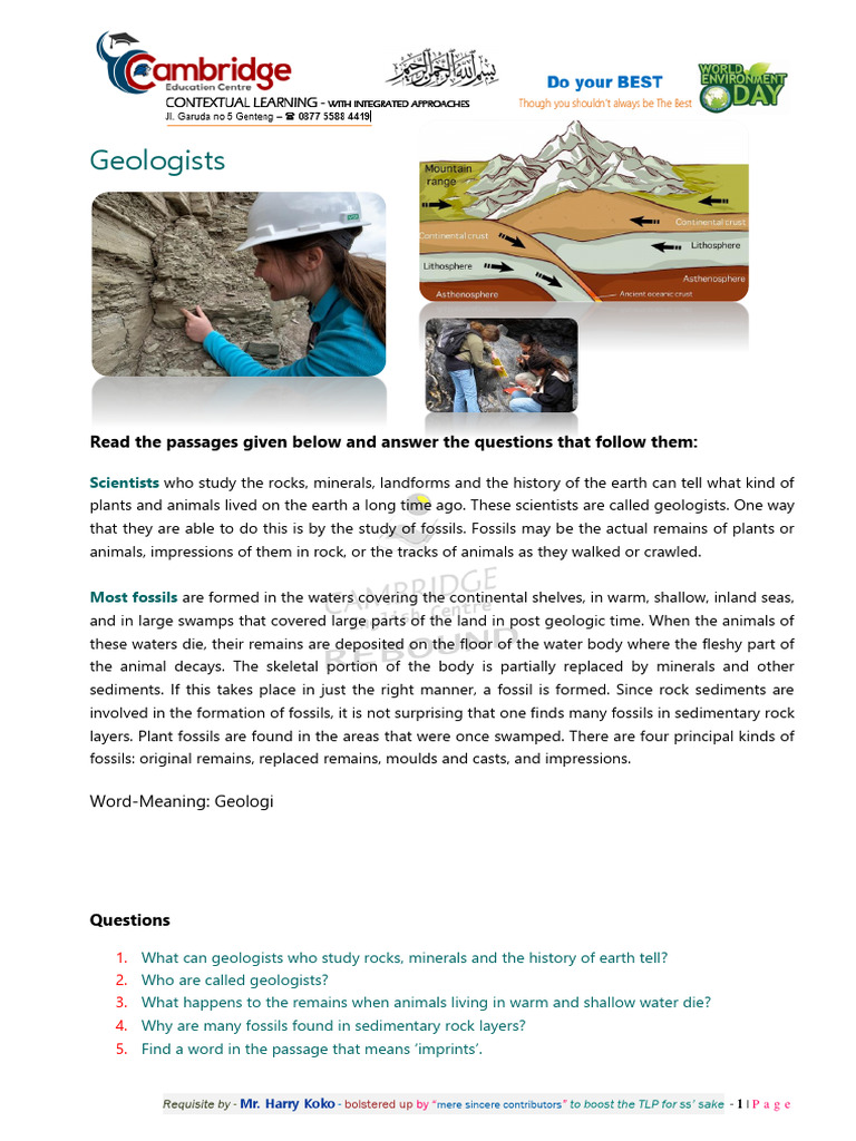Understanding Geology and Fossils | PDF | Social Science | Science ...
