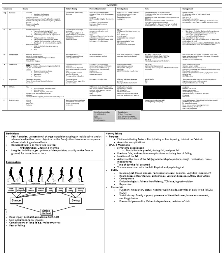 SPLATT Falls Assessment and Management | PDF | Stroke | Injury