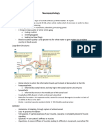 Neuropsychology LecNot